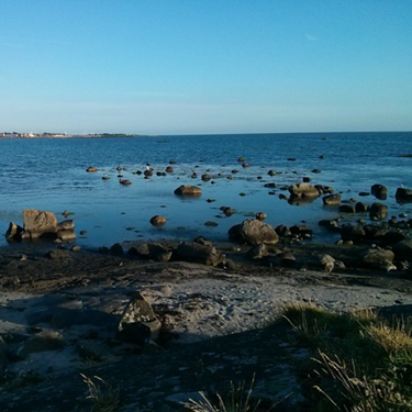 Media Image